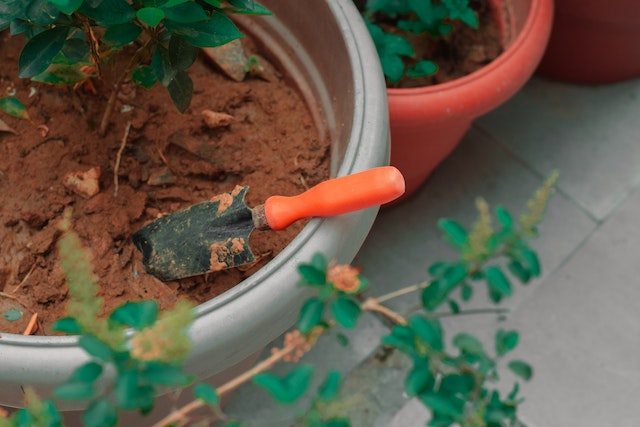 A garden plant container being filled with soil
